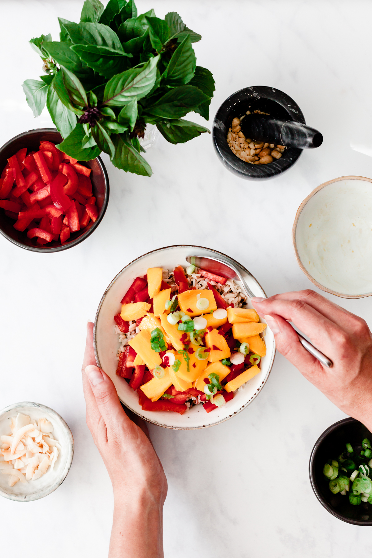 mango & coconut rice